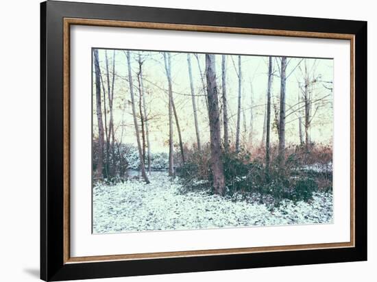 Winter Woodland Scene-Sharon Wish-Framed Photographic Print