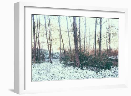 Winter Woodland Scene-Sharon Wish-Framed Photographic Print