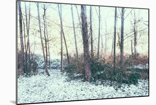 Winter Woodland Scene-Sharon Wish-Mounted Photographic Print