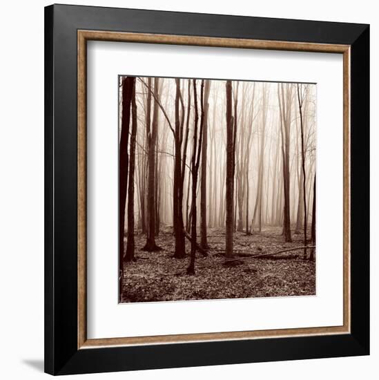 Winter Woods-Erin Clark-Framed Art Print