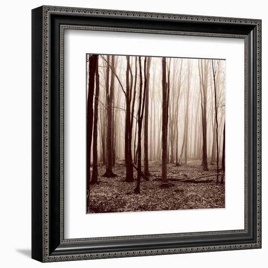 Winter Woods-Erin Clark-Framed Art Print