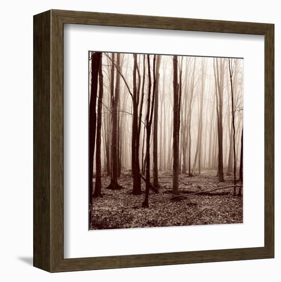 Winter Woods-Erin Clark-Framed Art Print