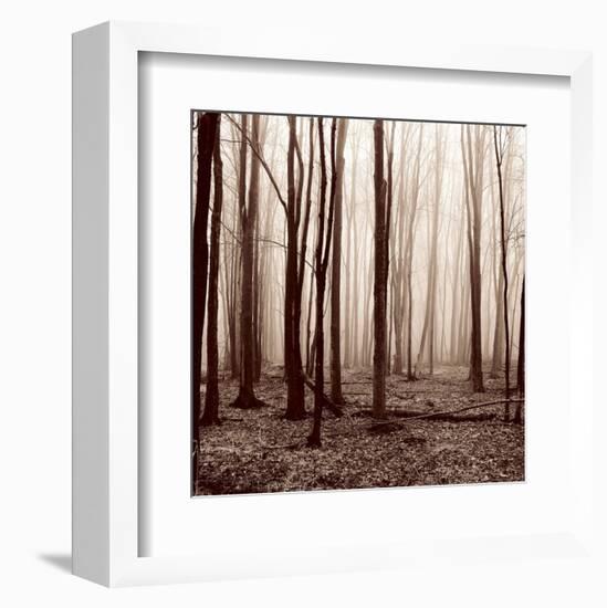 Winter Woods-Erin Clark-Framed Art Print