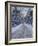 Winter Woods-Bruce Dumas-Framed Giclee Print