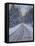 Winter Woods-Bruce Dumas-Framed Premier Image Canvas