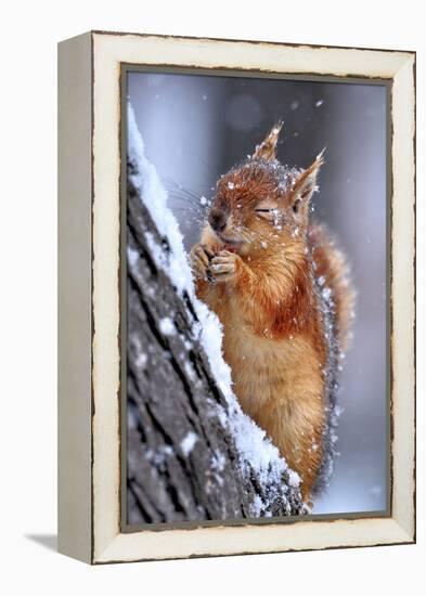 Winter-Ervin Kobakci-Framed Premier Image Canvas