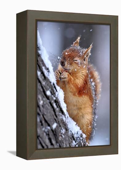 Winter-Ervin Kobakci-Framed Premier Image Canvas