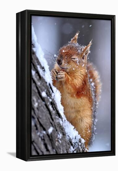 Winter-Ervin Kobakci-Framed Premier Image Canvas