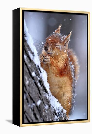 Winter-Ervin Kobakci-Framed Premier Image Canvas