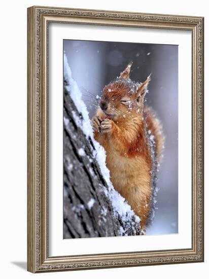 Winter-Ervin Kobakci-Framed Photographic Print