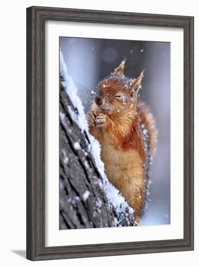 Winter-Ervin Kobakci-Framed Photographic Print