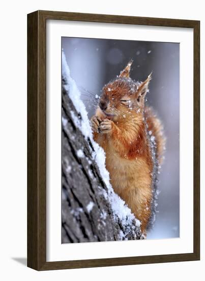 Winter-Ervin Kobakci-Framed Photographic Print