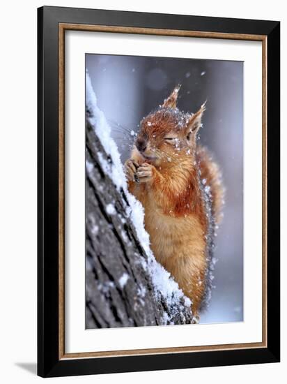 Winter-Ervin Kobakci-Framed Photographic Print