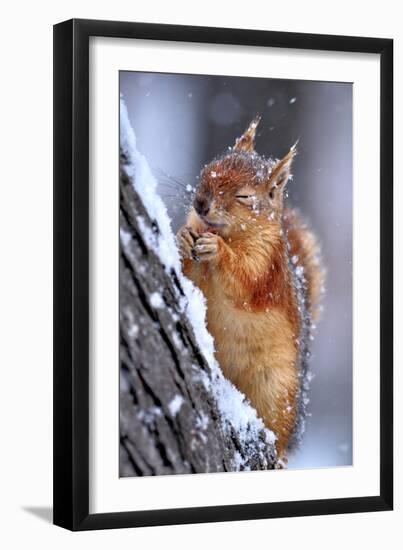 Winter-Ervin Kobakci-Framed Photographic Print