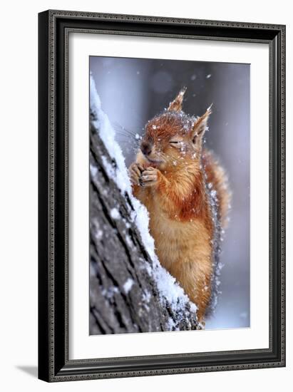 Winter-Ervin Kobakci-Framed Photographic Print