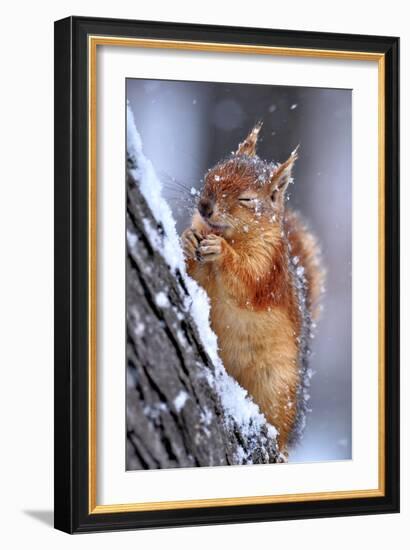 Winter-Ervin Kobakci-Framed Photographic Print