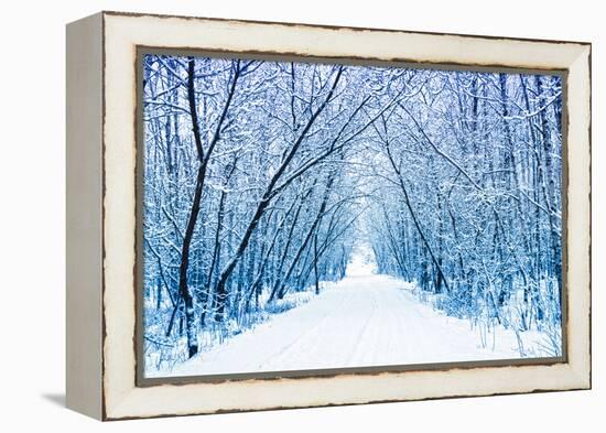 Winter-WDG Photo-Framed Premier Image Canvas