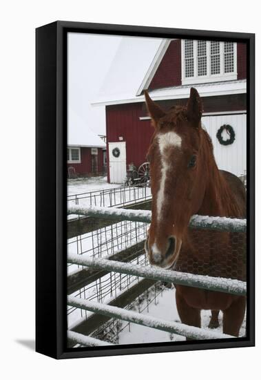 Winter-Jeff Rasche-Framed Premier Image Canvas