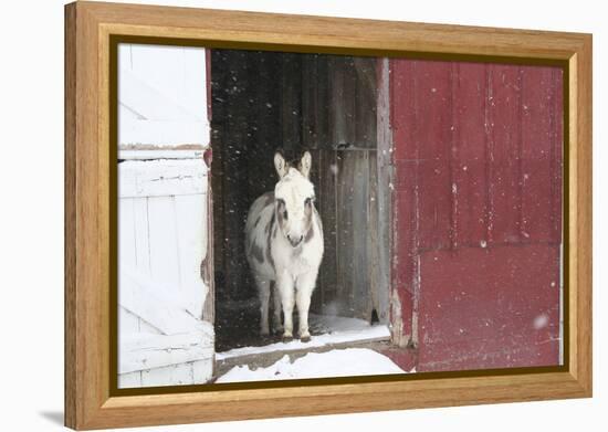 Winter-Jeff Rasche-Framed Premier Image Canvas