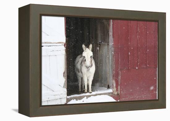 Winter-Jeff Rasche-Framed Premier Image Canvas