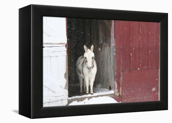 Winter-Jeff Rasche-Framed Premier Image Canvas