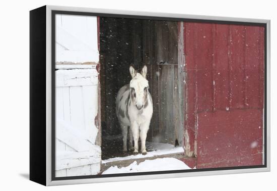 Winter-Jeff Rasche-Framed Premier Image Canvas