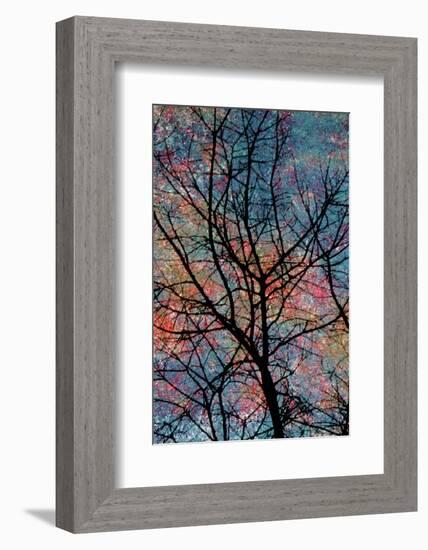 Winter-Andr? Burian-Framed Photographic Print