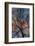 Winter-Andr? Burian-Framed Photographic Print