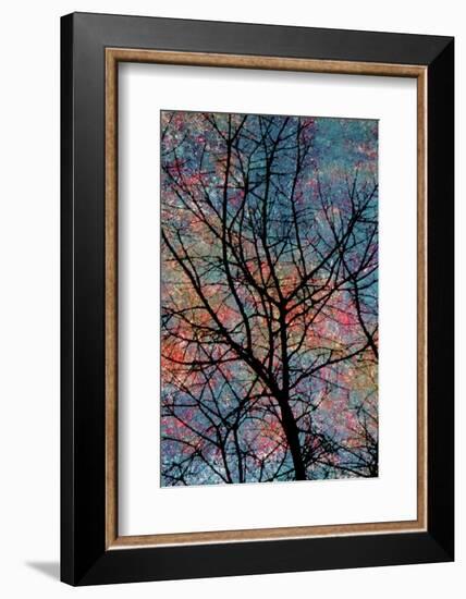 Winter-Andr? Burian-Framed Photographic Print