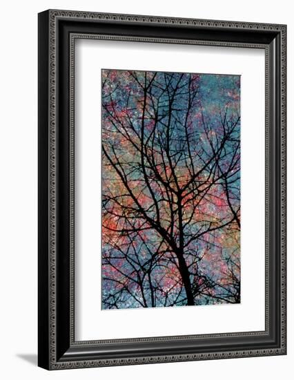 Winter-Andr? Burian-Framed Photographic Print