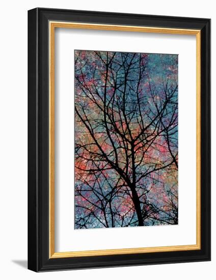 Winter-Andr? Burian-Framed Photographic Print