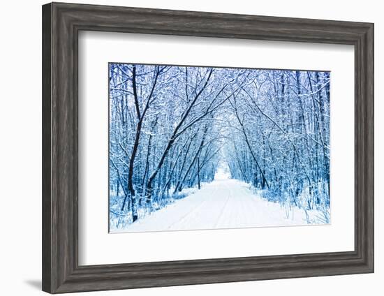 Winter-WDG Photo-Framed Photographic Print