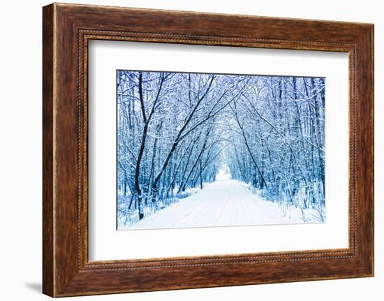 Winter-WDG Photo-Framed Photographic Print