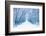 Winter-WDG Photo-Framed Photographic Print