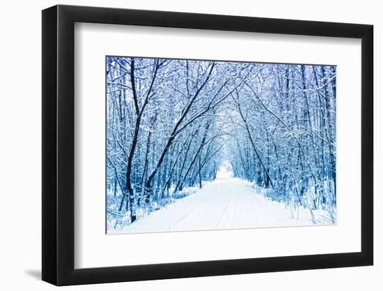 Winter-WDG Photo-Framed Photographic Print