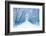 Winter-WDG Photo-Framed Photographic Print