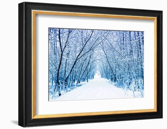 Winter-WDG Photo-Framed Photographic Print