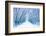 Winter-WDG Photo-Framed Photographic Print