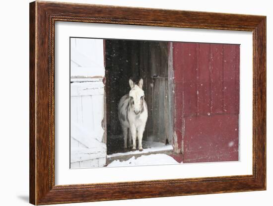 Winter-Jeff Rasche-Framed Photographic Print