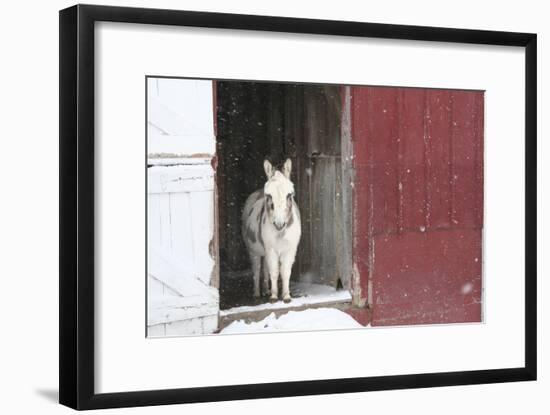 Winter-Jeff Rasche-Framed Photographic Print