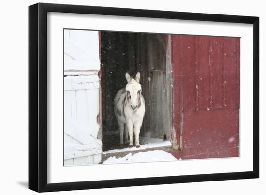 Winter-Jeff Rasche-Framed Photographic Print