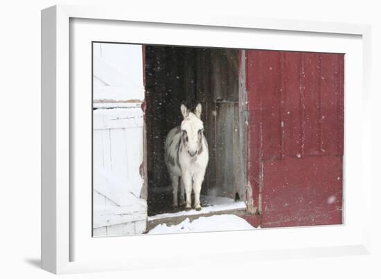 Winter-Jeff Rasche-Framed Photographic Print