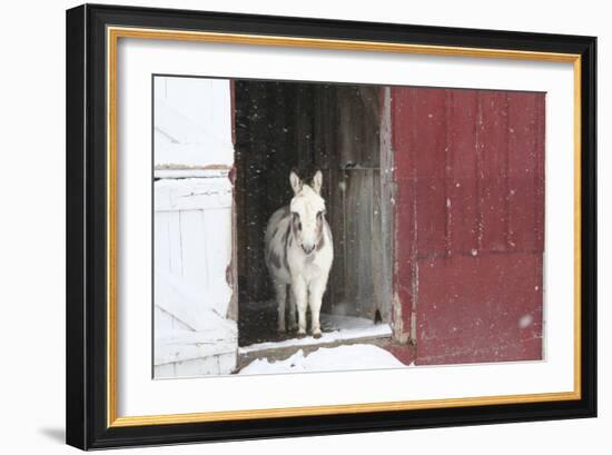 Winter-Jeff Rasche-Framed Photographic Print