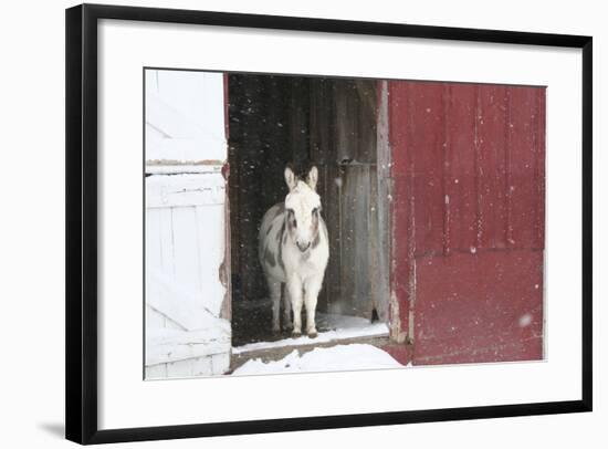 Winter-Jeff Rasche-Framed Photographic Print