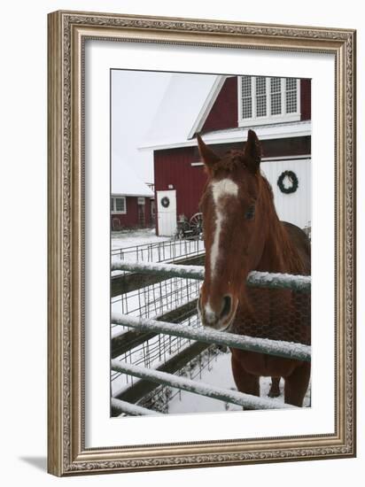 Winter-Jeff Rasche-Framed Photographic Print