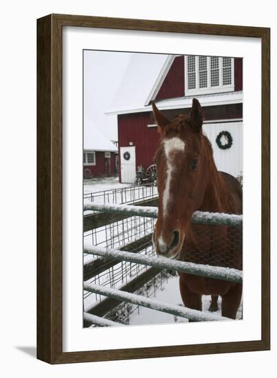 Winter-Jeff Rasche-Framed Photographic Print