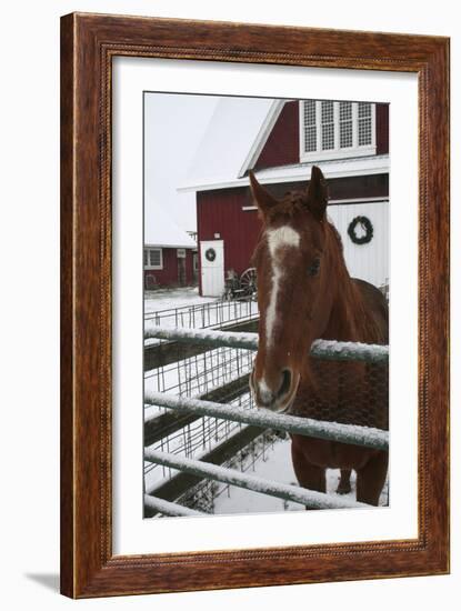 Winter-Jeff Rasche-Framed Photographic Print