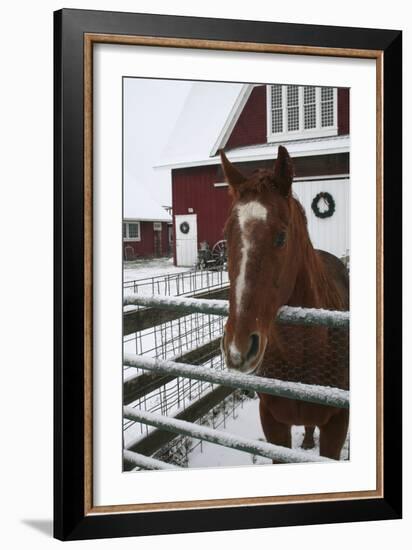 Winter-Jeff Rasche-Framed Photographic Print