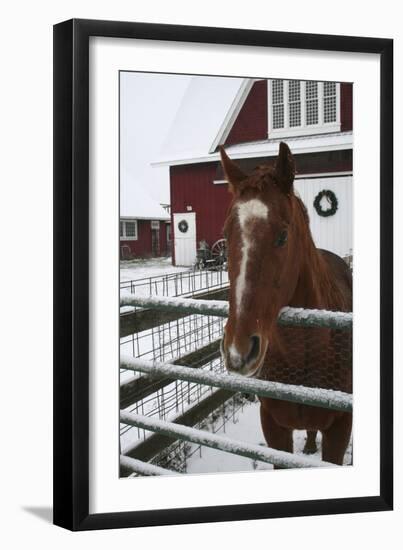 Winter-Jeff Rasche-Framed Photographic Print