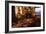 Winter-Jeff Rasche-Framed Photographic Print